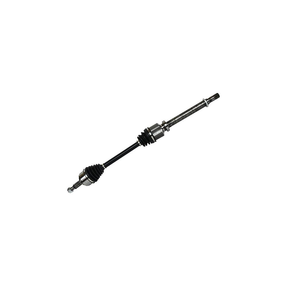 Planetara Asam Automotive 98658