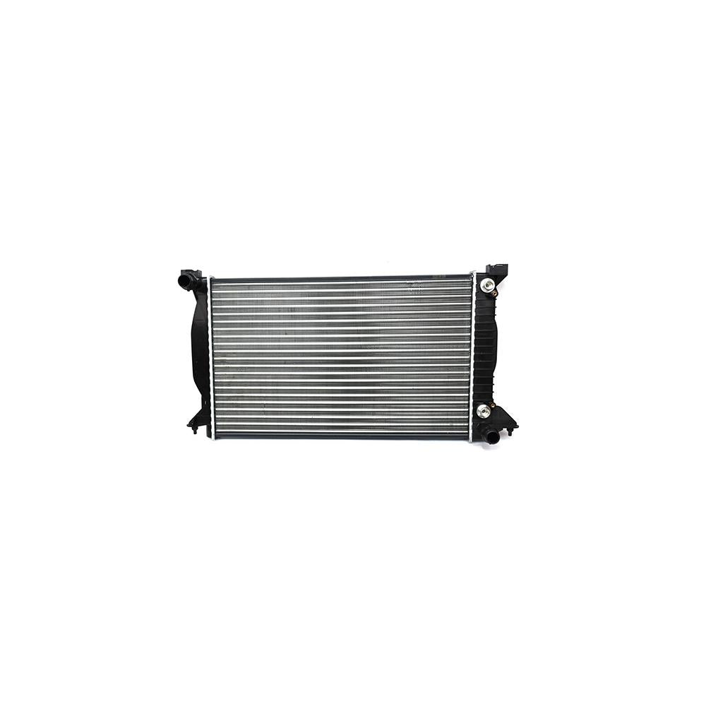 Radiator motor Asam Automotive 98803