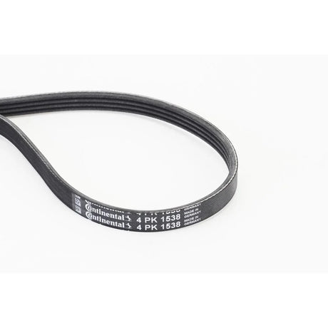 BELTPIC_4PK1538_jpg