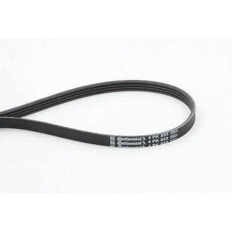 BELTPIC_4PK855_jpg