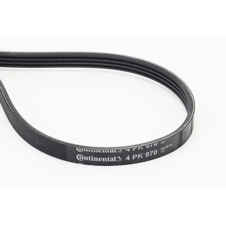 BELTPIC_4PK970_jpg