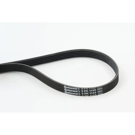 BELTPIC_5PK1145_jpg