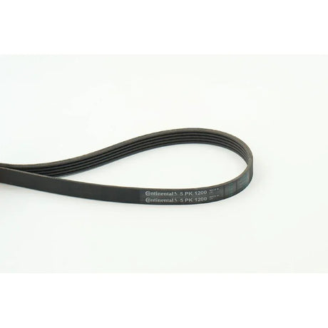 BELTPIC_5PK1200_jpg