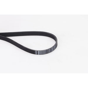 Conti - curea transmisie canelata Continental Ctam 5PK1255
