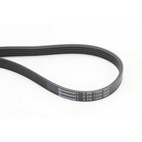 BELTPIC_5PK1334_jpg