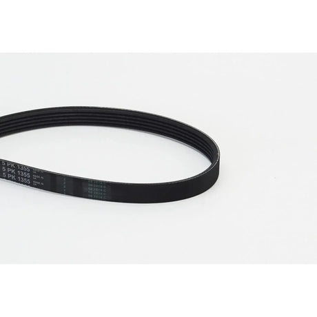 BELTPIC_5PK1355_jpg