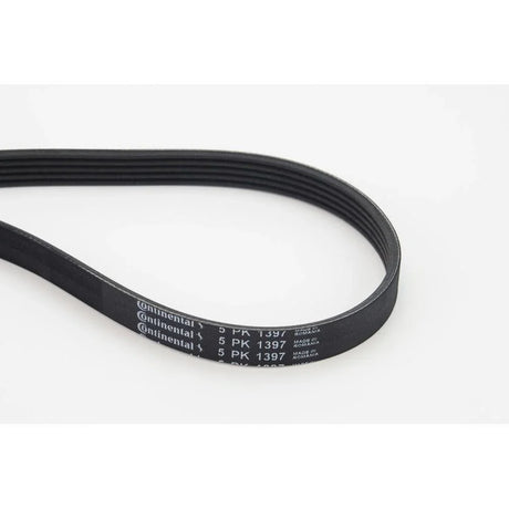 BELTPIC_5PK1397_jpg