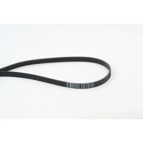 BELTPIC_5PK1750_jpg