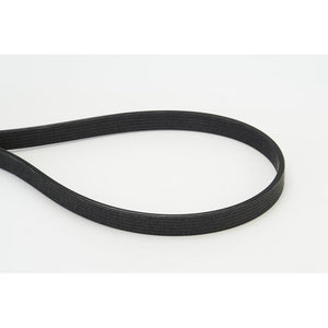 Conti - curea transmisie canelata Continental Ctam 6DPK1817