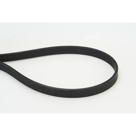 BELTPIC_6DPK1817_jpg
