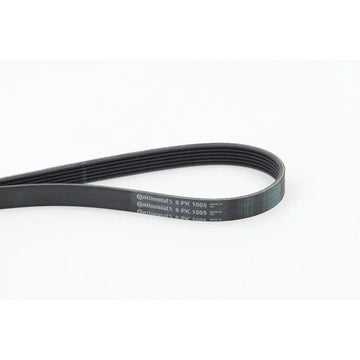 Conti - curea transmisie Continental Ctam 6PK1005