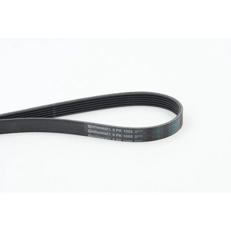 BELTPIC_6PK1005_jpg