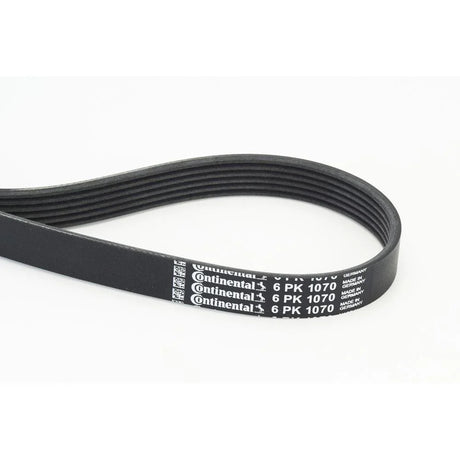 BELTPIC_6PK1070_jpg