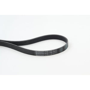 Conti -curea transmisie canelata Continental Ctam 6PK1100