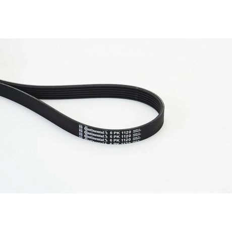 BELTPIC_6PK1120_jpg