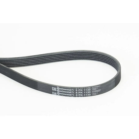 BELTPIC_6PK1130_jpg