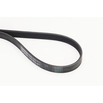 Conti - curea transmisie cu caneluri Continental Ctam 6PK1173