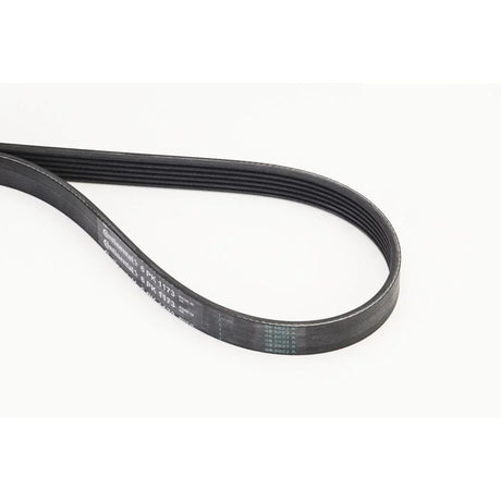 BELTPIC_6PK1173_jpg