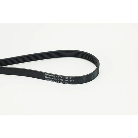 BELTPIC_6PK1180_jpg