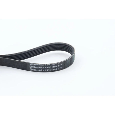 BELTPIC_6PK1190_jpg