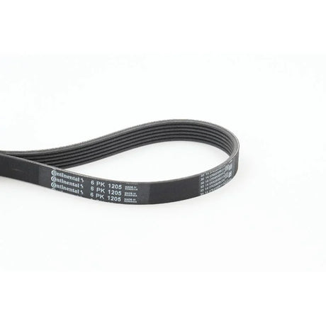 BELTPIC_6PK1205_jpg