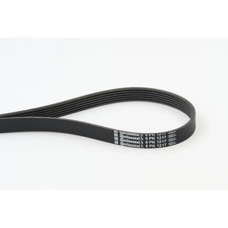BELTPIC_6PK1217_jpg