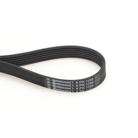 BELTPIC_6PK1256_jpg
