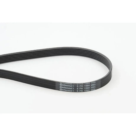 BELTPIC_6PK1580_jpg