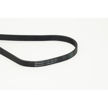 BELTPIC_6PK1590_jpg