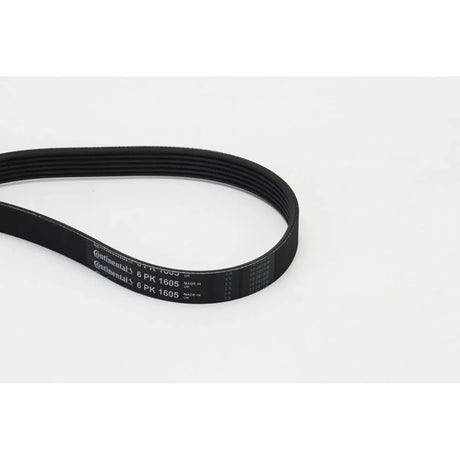 BELTPIC_6PK1605_jpg