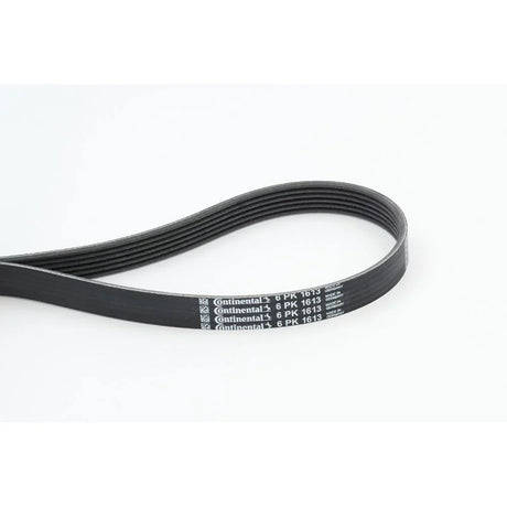 BELTPIC_6PK1613_jpg