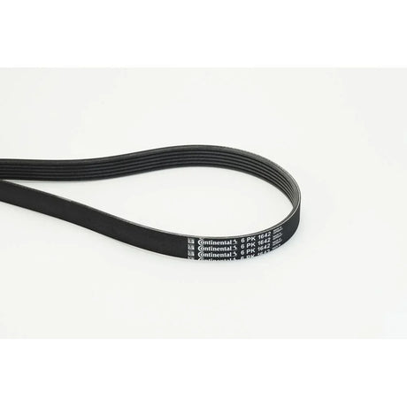 BELTPIC_6PK1642_jpg