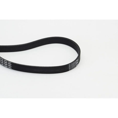 BELTPIC_6PK1660_jpg