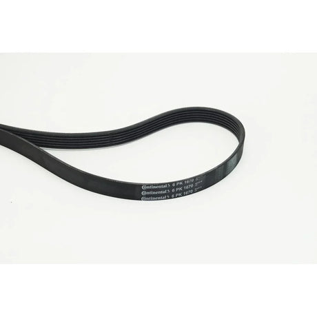 BELTPIC_6PK1670_jpg