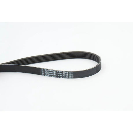 BELTPIC_6PK1705_jpg