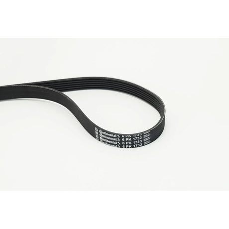 BELTPIC_6PK1733_jpg