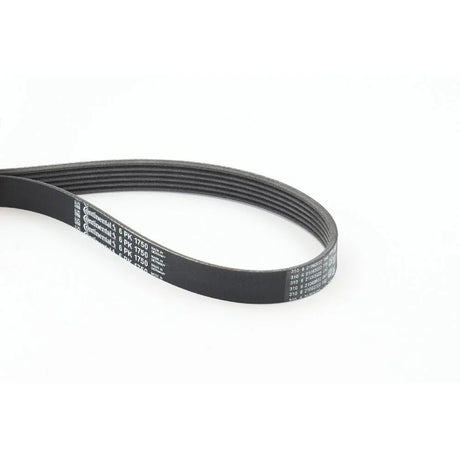 BELTPIC_6PK1750_jpg