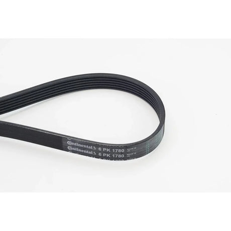 BELTPIC_6PK1780_jpg