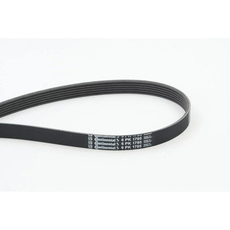 BELTPIC_6PK1795_jpg