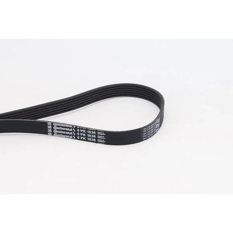 BELTPIC_6PK1836_jpg