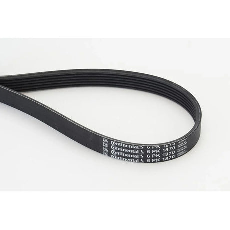 BELTPIC_6PK1870_jpg