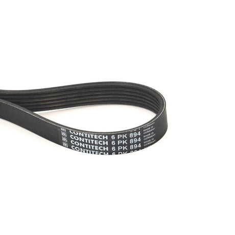 BELTPIC_6PK894_jpg