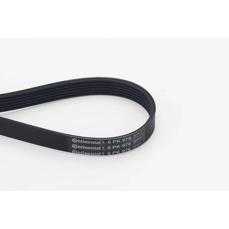 BELTPIC_6PK976_jpg