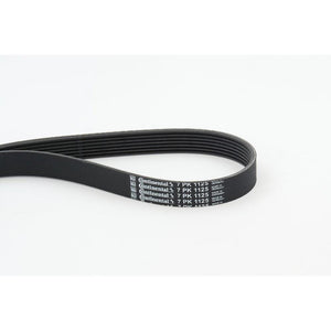 Conti - curea transmisie canelata Continental Ctam 7PK1125