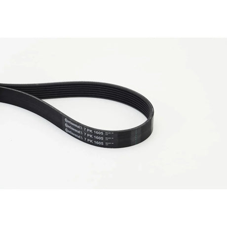 BELTPIC_7PK1605_jpg