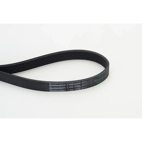 BELTPIC_7PK1705_jpg