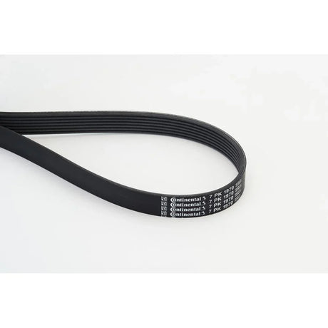 BELTPIC_7PK1970_jpg
