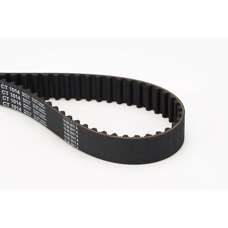 BELTPIC_CT1014_jpg
