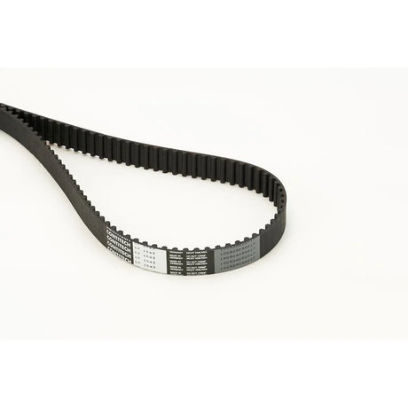 BELTPIC_CT1043_jpg
