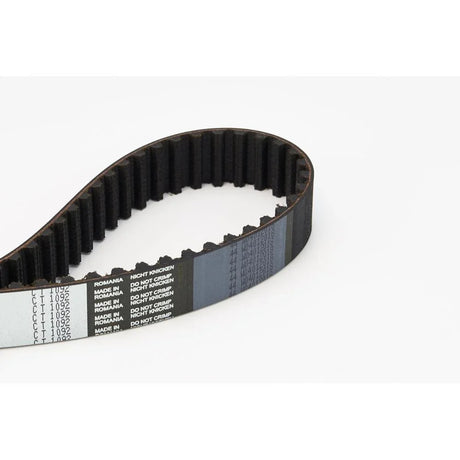 BELTPIC_CT1092_jpg